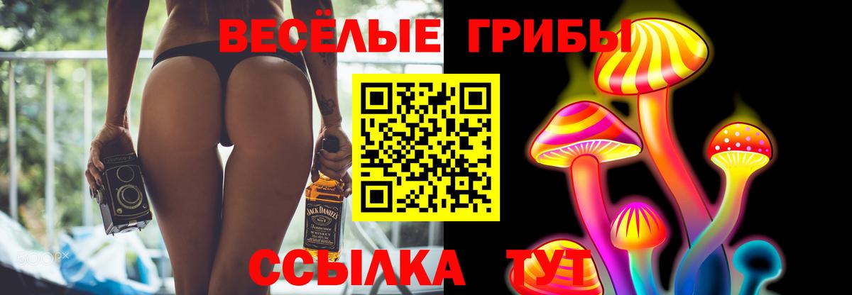 Галлюциногенные грибы Psilocybine cubensis Вичуга